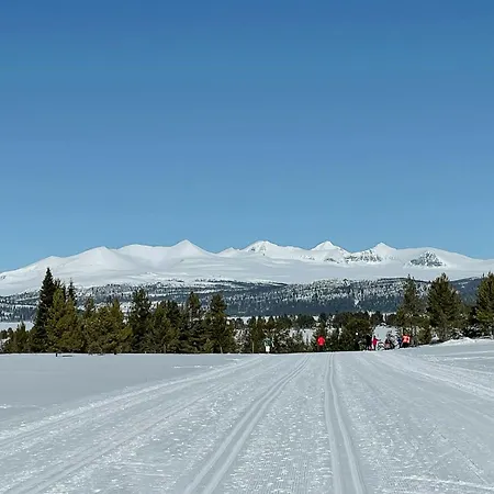 Cozy Modern Mountain At Kvamsfjellet * Kvam (Oppland)