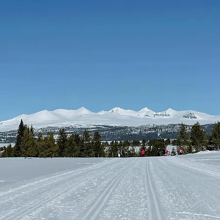 Cozy Modern Mountain At Kvamsfjellet