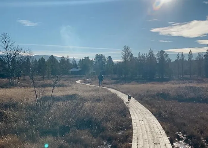 Cozy Modern Mountain At Kvamsfjellet
